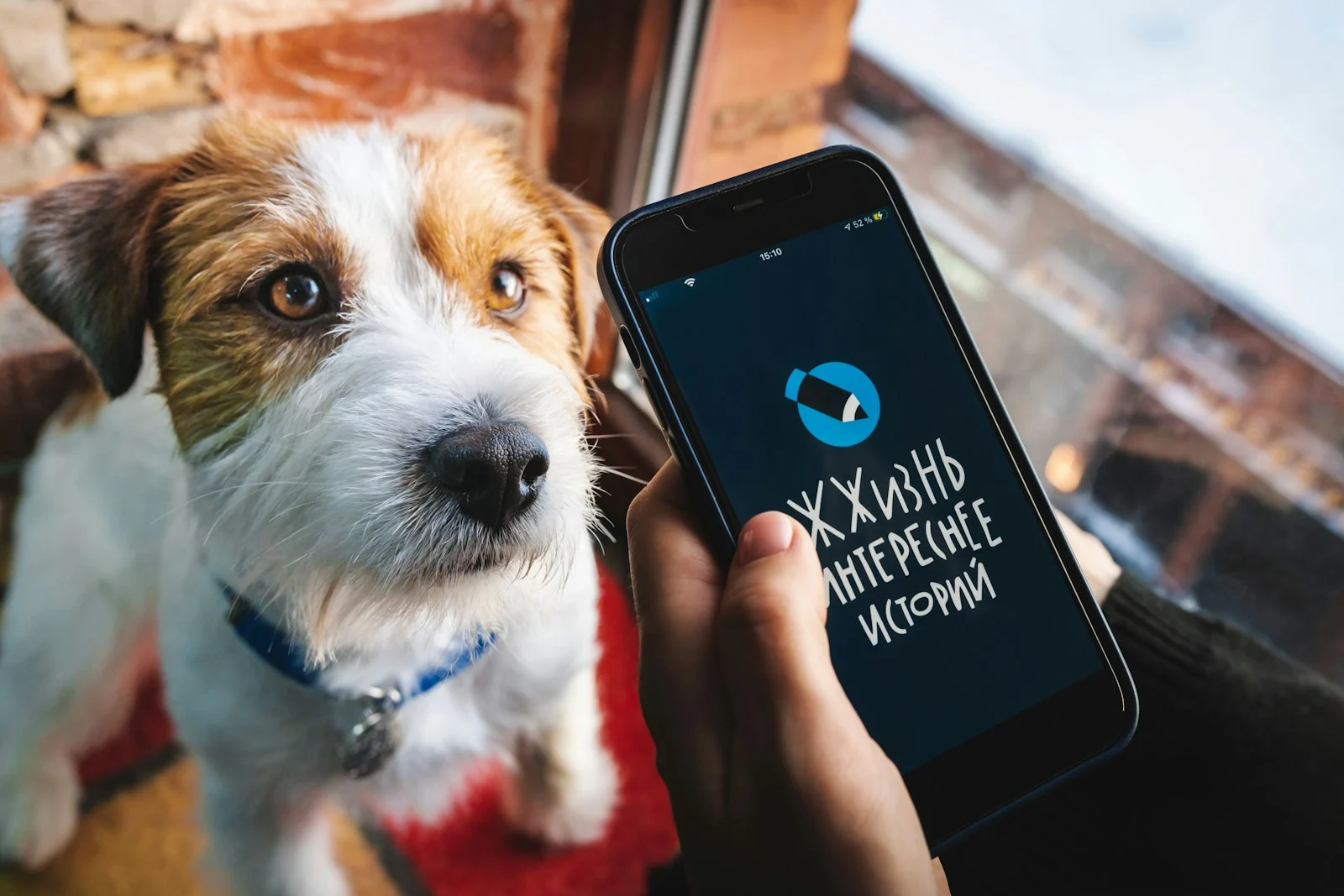 Les meilleures applications pour chiens pour iPhone (Guide 2026)